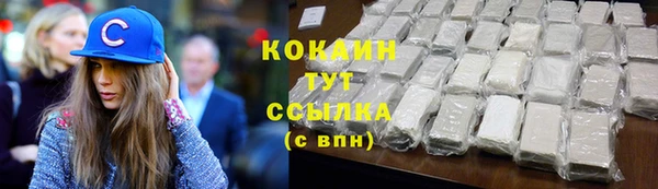 трава Новодвинск
