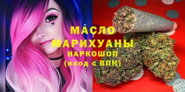 дмт Переславль-Залесский