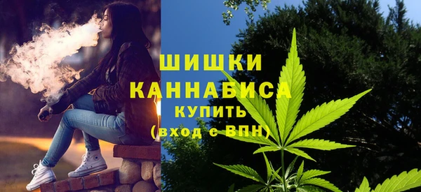 гидропоника Новозыбков