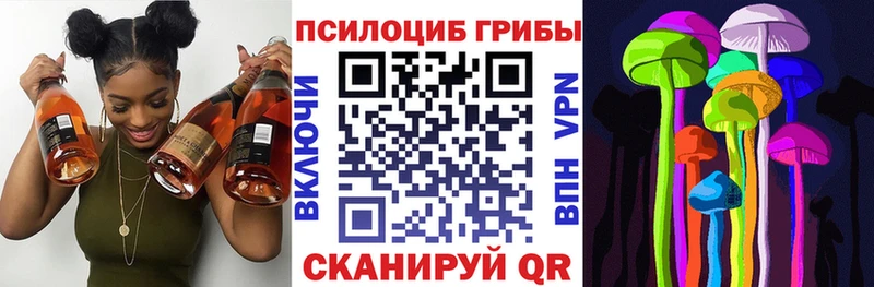 купить наркоту  Липецк  Псилоцибиновые грибы GOLDEN TEACHER 
