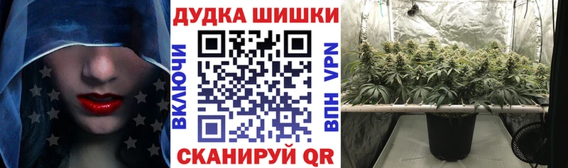 Бошки Шишки VHQ Липецк