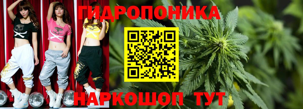 Канабис семена  Канабис White Widow  Вход с VPN  Липецк 
